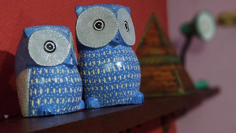 Casa Inteira Ilha Grandeヴィラ エクステリア 写真